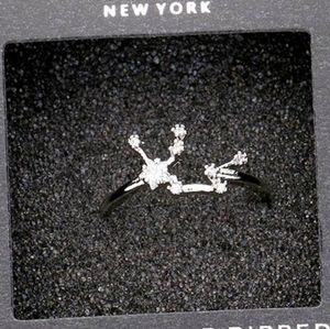 AQUARIUS Sterling Silver Dipped CZ Zodiac Ring Accessory